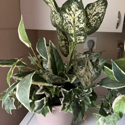 Artificial Foliage In Resin Plant Pot