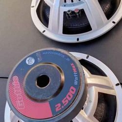 Subs 12s Speakers 