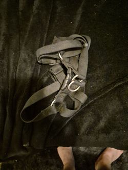 Large Dog Harness