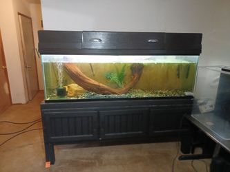 125 Gallon Tank, With Stand And Lid