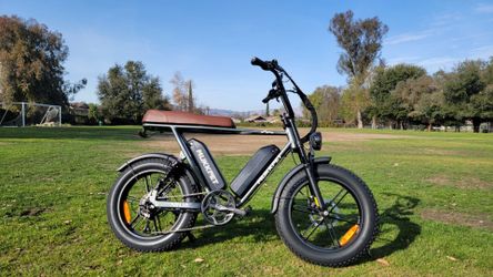 Fat Tires dual batteries Electric Bike