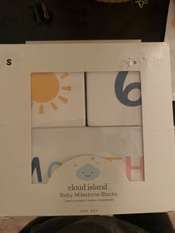 Baby Milestone Blocks