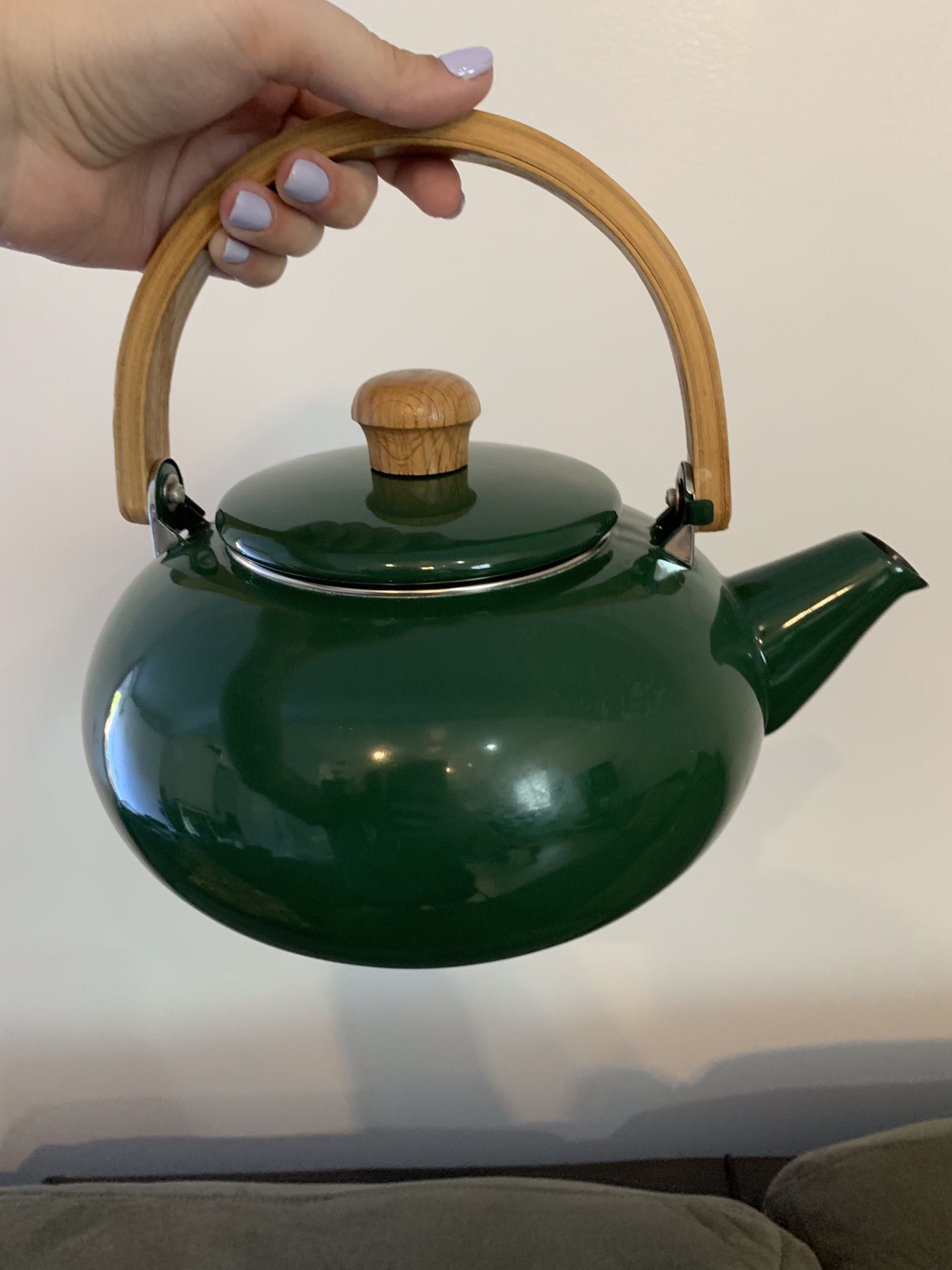 Cute boho emerald green tea kettle!