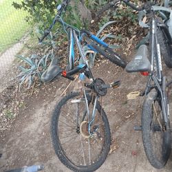 Mongoose Mountain Bike