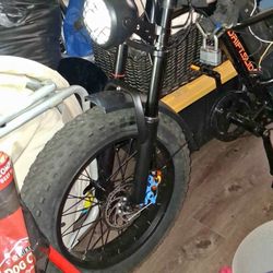 Old Electric Bike