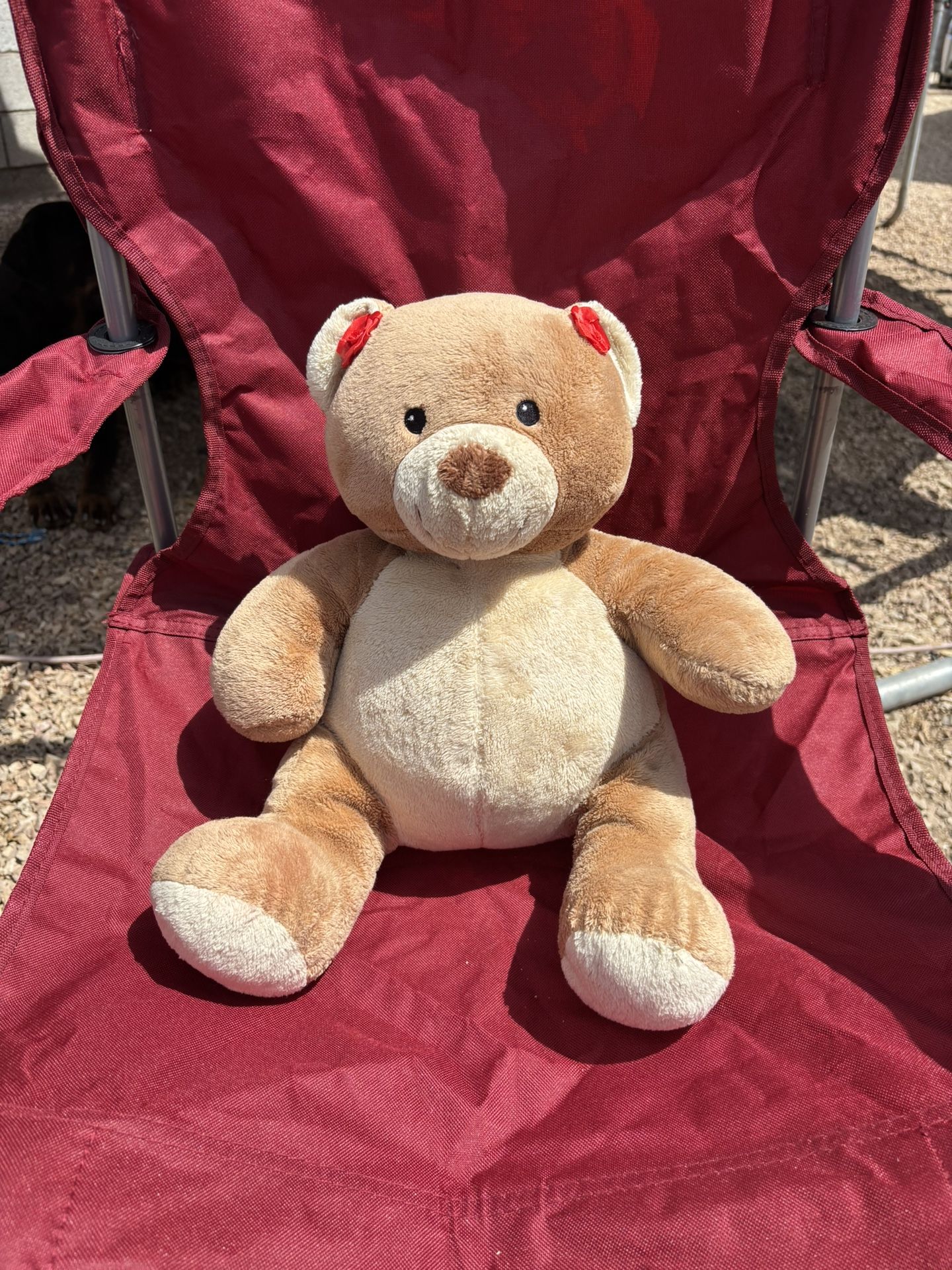 Bear Plushie