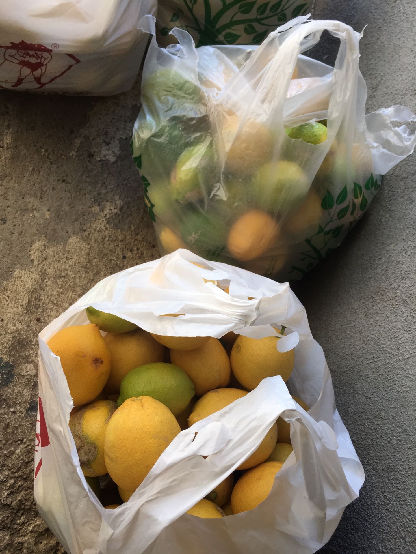 Bag of Lemons