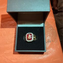 Cleveland Cavalier s 2016 Championship Ring  10 K Ring 