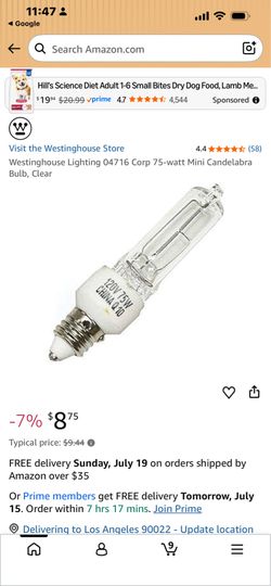 light bulb Westinghouse light bulb
