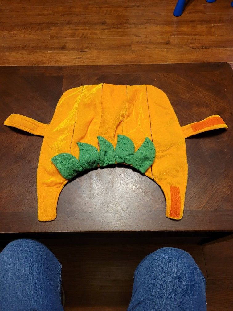 Orange and Green Dog Costume