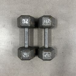 20lb Dumbbells