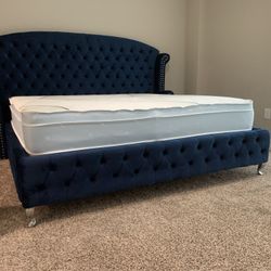 MS Q Navy Blue Tufted Velvet Platform Bed 