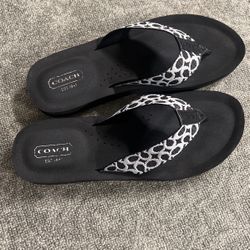 Size7