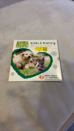 Trick And Training Pet Video