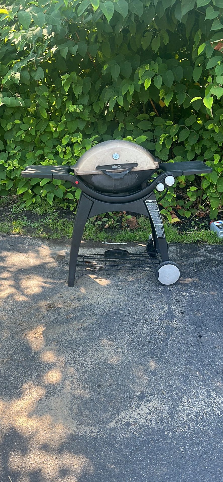 Webber Gas Grill