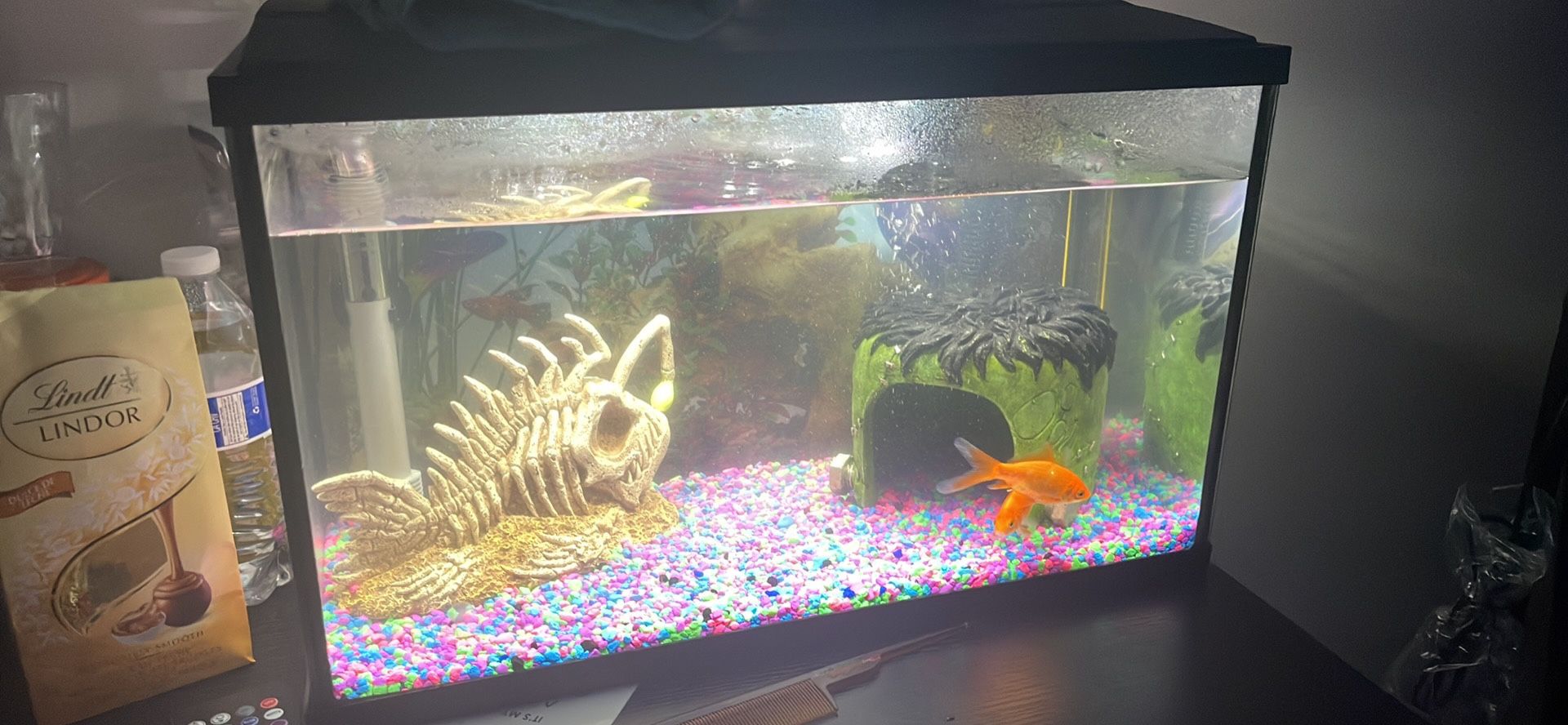 10 Gallons Fish Tank