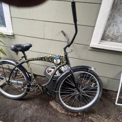 Male Beach Cruiser