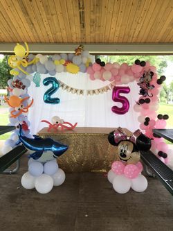 Minnie mouse and baby shark 🦈. I Can do any theme. If You Want Decoration Just Message Me 