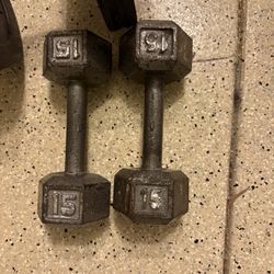 15lbs Dumbbells Pair