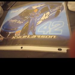 Kyle Larson Hero Card Is In Good Condition 