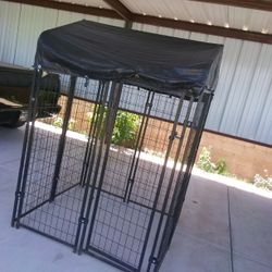 Dog Cajun Very Good Condition He Used It A Couple Of Times