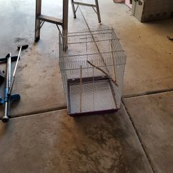 Bird Cage