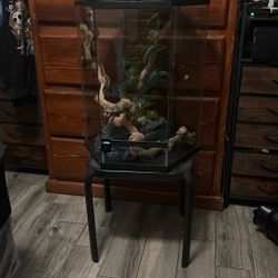 Chameleon Cage And Water Fountain