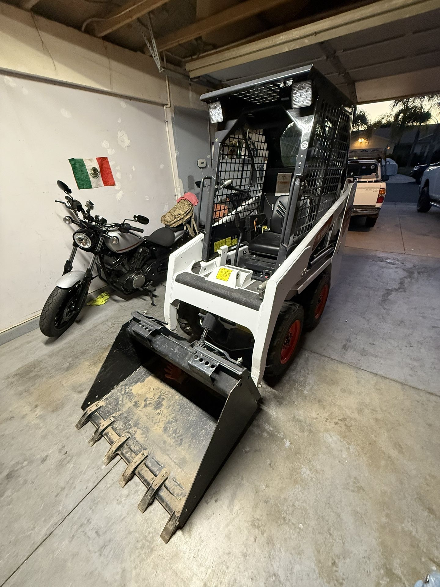 Bobcat