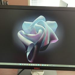 Dell 21inc Monitor 