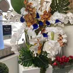 Big Vase / Flower 🌸 Orchids 