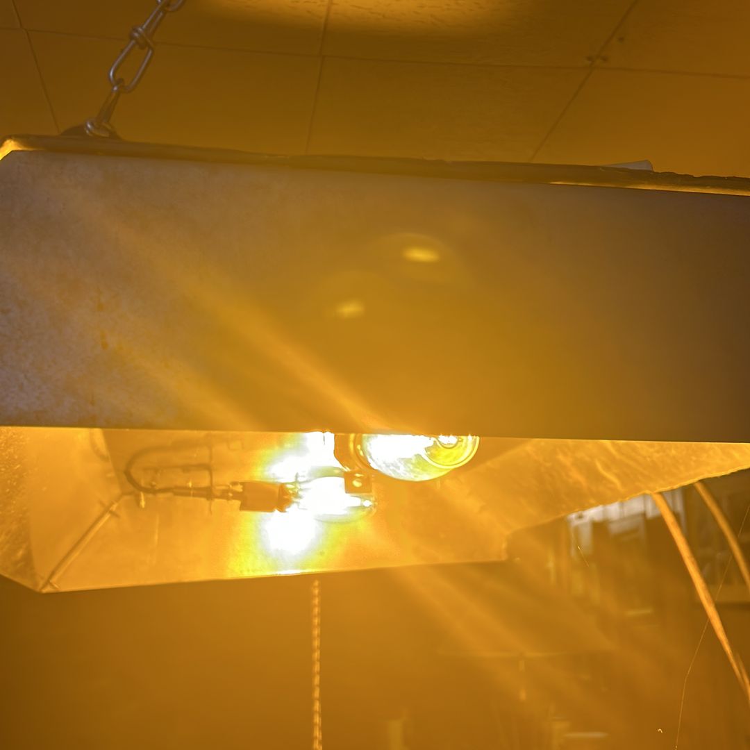 Grow light