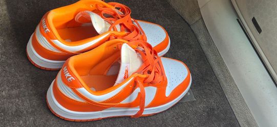NIKE DUNK MEN SIZE 8 NEW CONDITION  $40