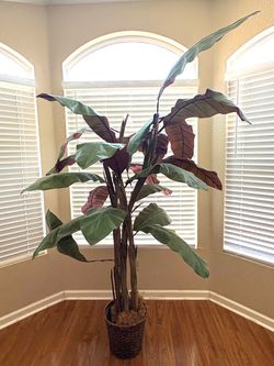 Faux Plant