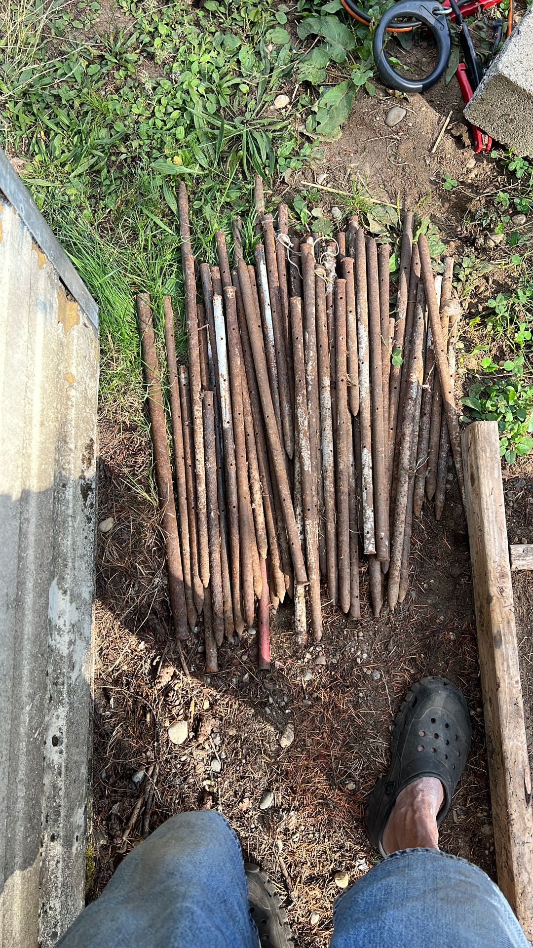 Concrete Steaks 50+
