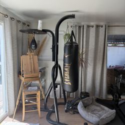 Speed Bag/Punching Bag Combo
