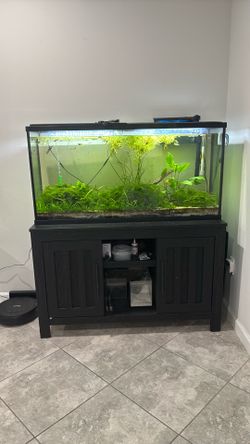 55 gallon fish tank with stand