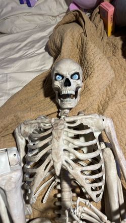 Skeleton Halloween decor