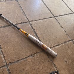 Softball Bat Demarini
