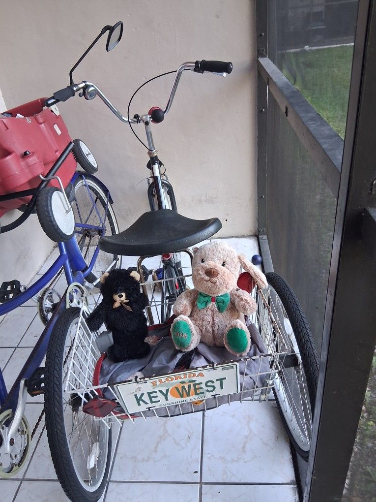 Vintage 3 Wheeler Trike Bike