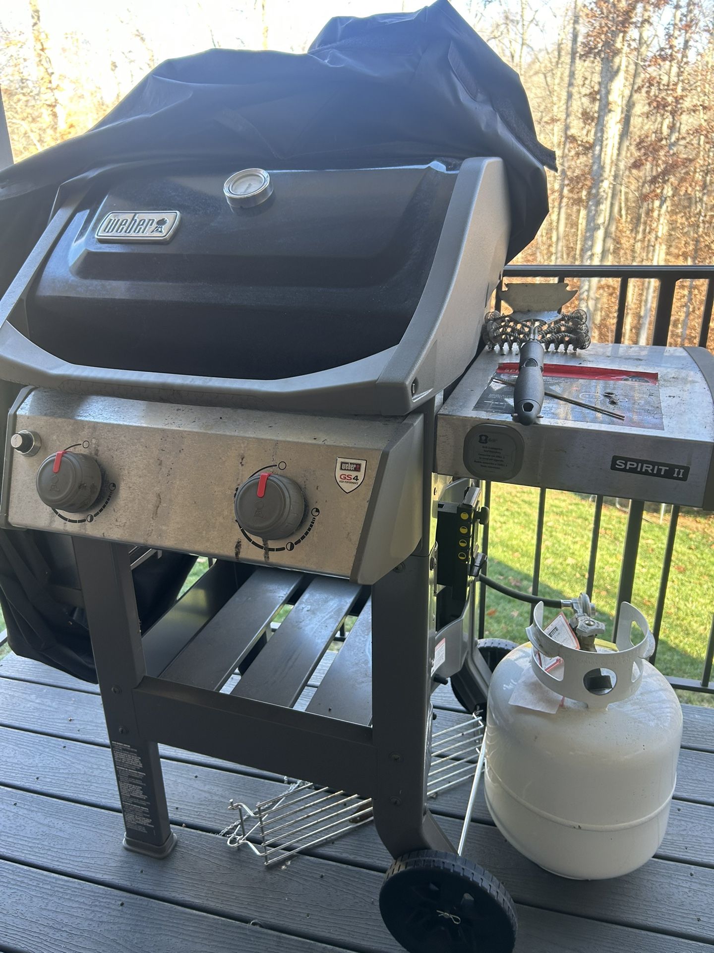 Weber propane Grill
