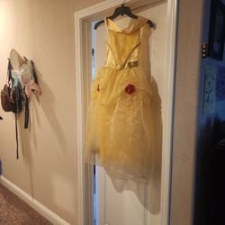 Princess Belle Dress 9/10