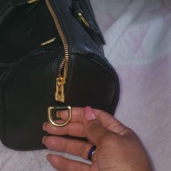 LV Speedy Handbag
