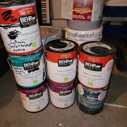 Behr Paint 1 Gallon