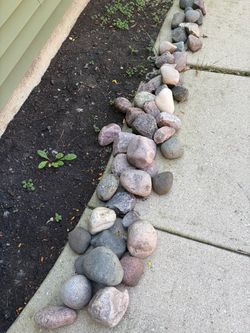 FREE rocks