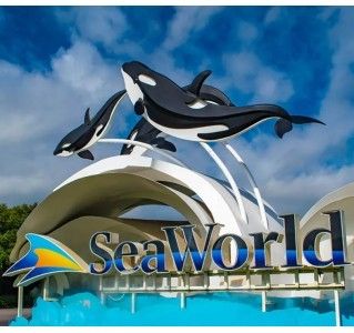 Seaworld Tickets