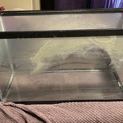 40 Gallon Tank