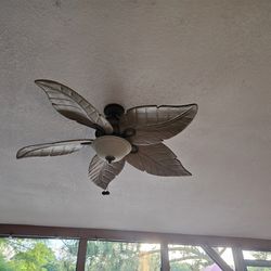 Ceiling Fan 