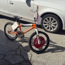 20” Bicycle