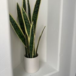 Faux Snake Plant In Pot White Pot 