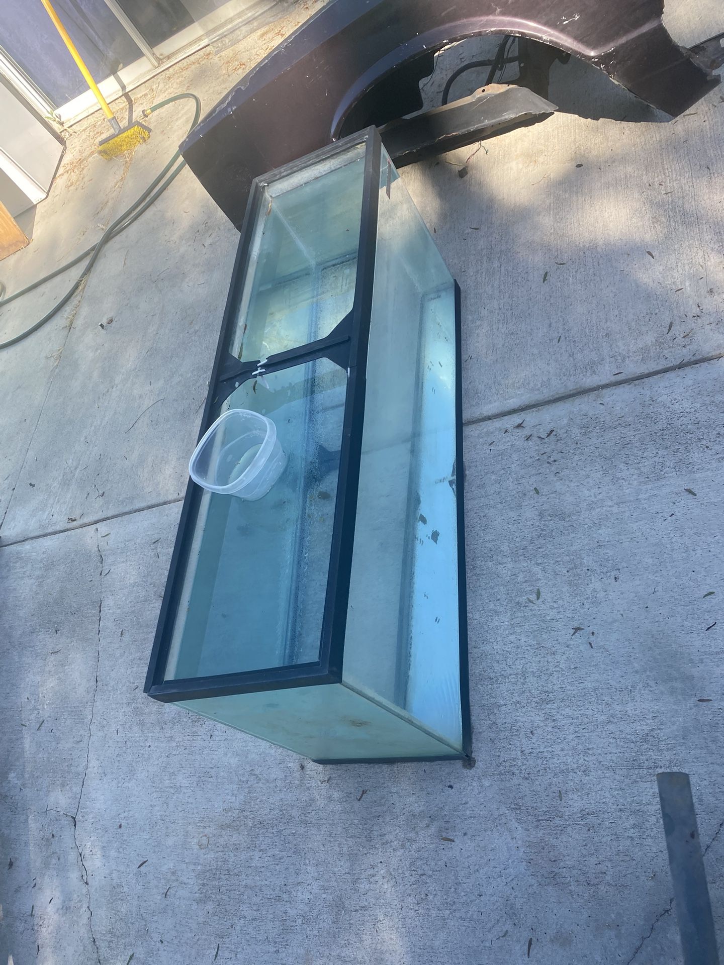 60gal Fish Tank